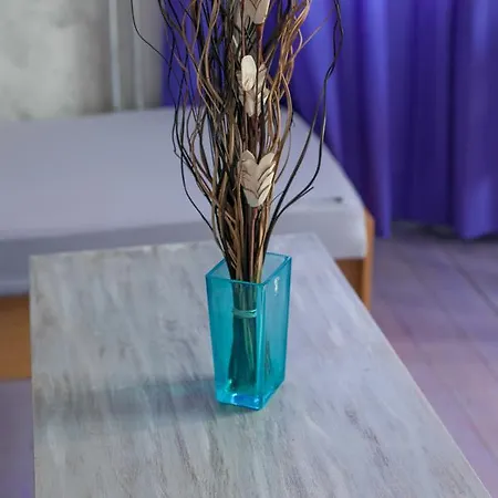 Vila Sazava וילה Sázava